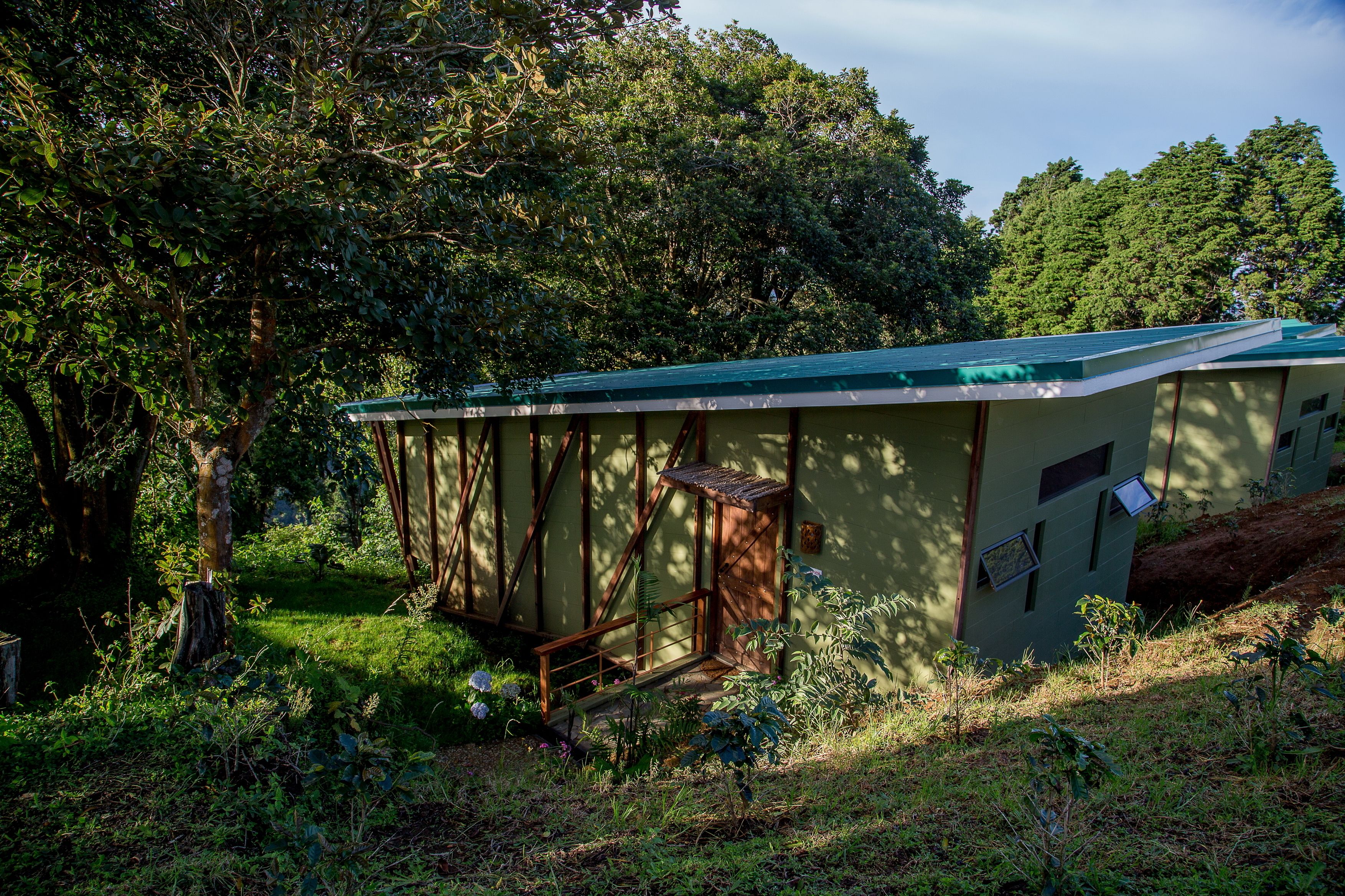 A small, single-story building with a green roof, surrounded by dense greenery and trees.