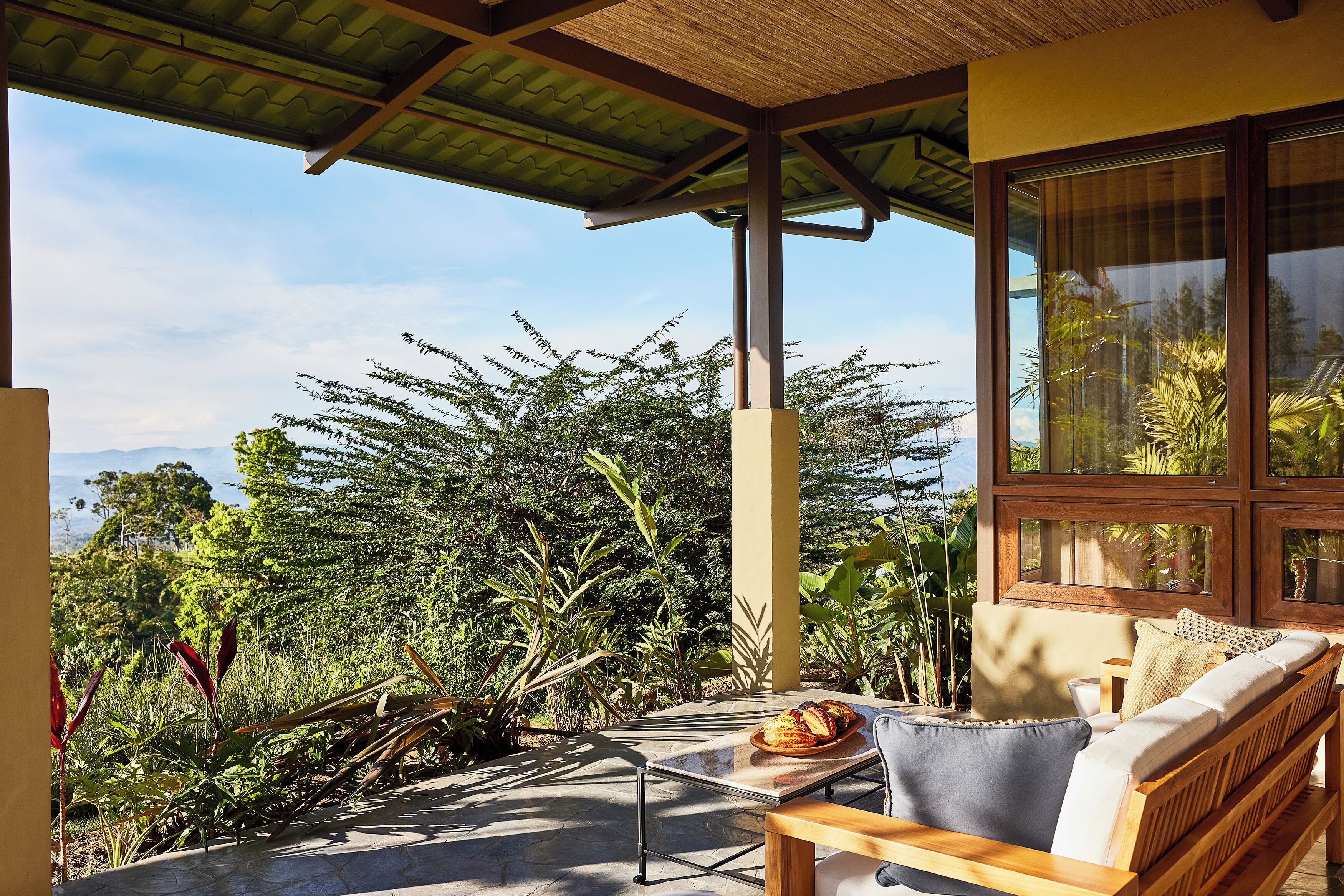 Une terrasse extérieure avec un banc et une table en bois, entourée d’une végétation luxuriante et dotée de grandes fenêtres offrant une vue sur les arbres.