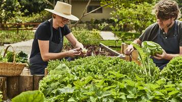 Dos personas trabajando en un jardín con diversas plantas y una valla de madera al fondo.