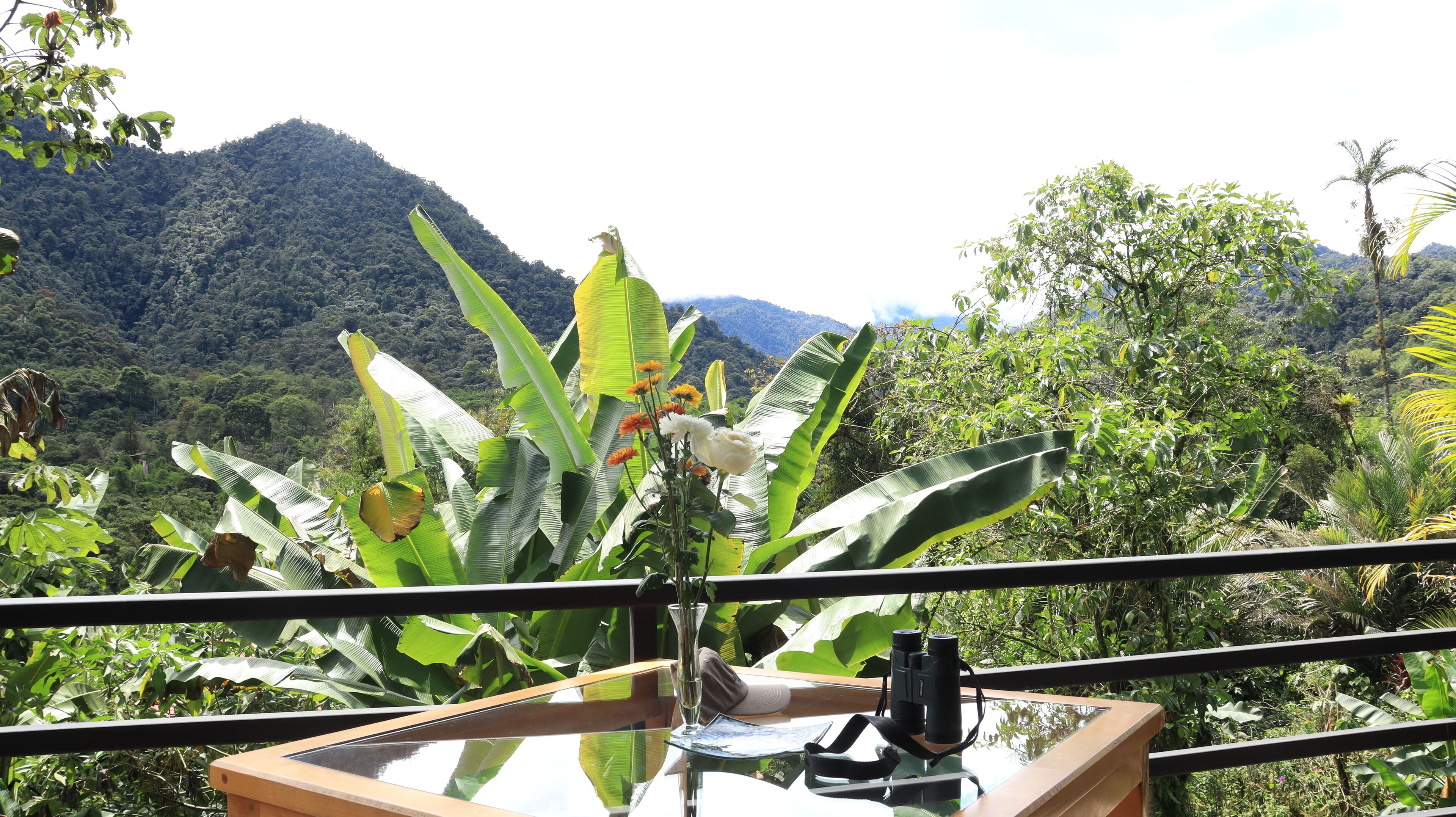 Una mesa con unos binoculares, un florero y un mapa, frente a un telón de fondo de vegetación exuberante y montañas.