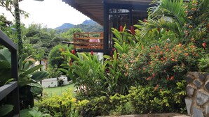 Un exuberante jardín con una pérgola de madera, diversas plantas y vistas a un paisaje montañoso.