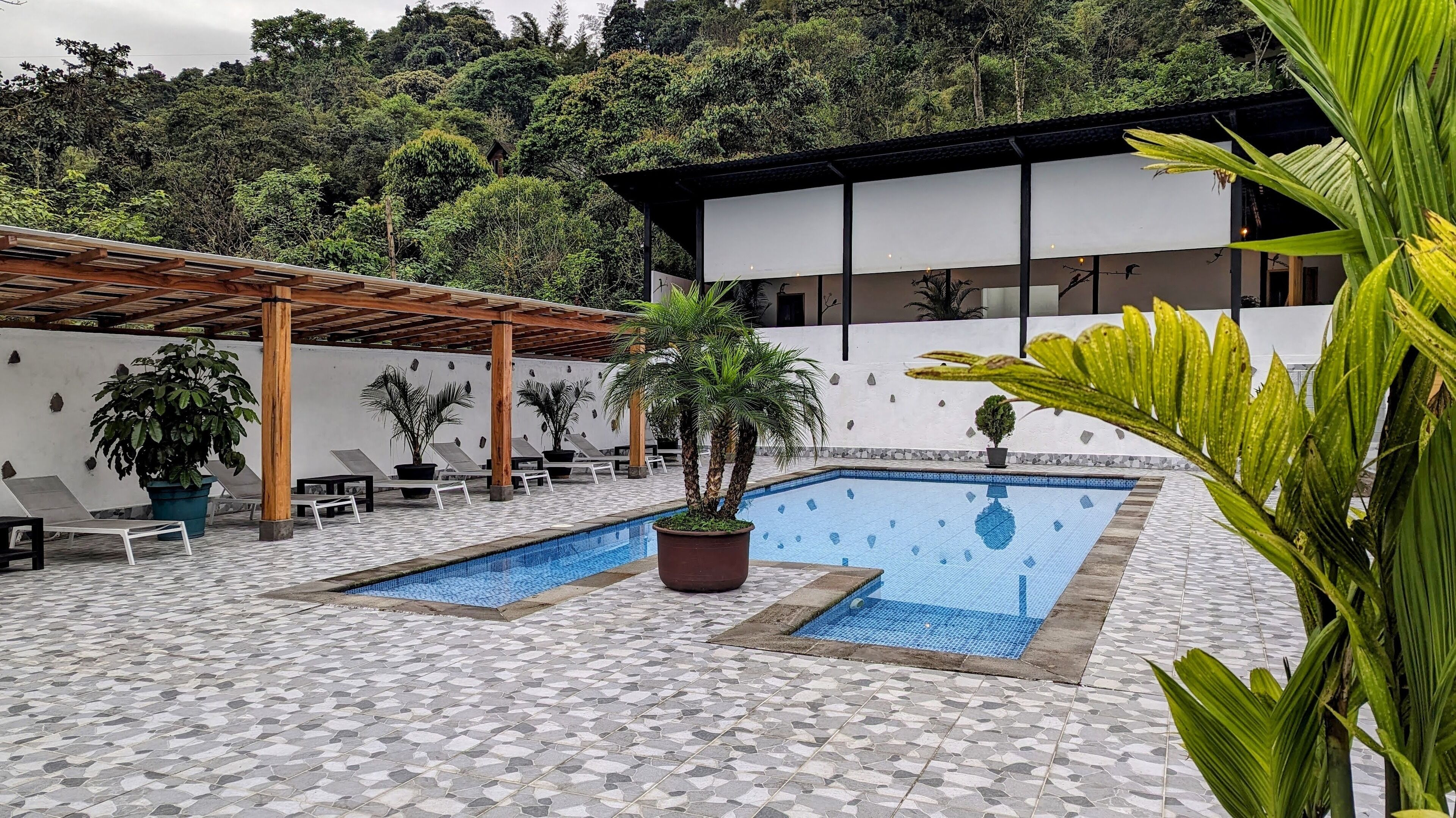 A pool area with lounge chairs and potted plants.