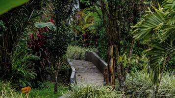 A narrow stone pathway surrounded by lush greenery and various plants.