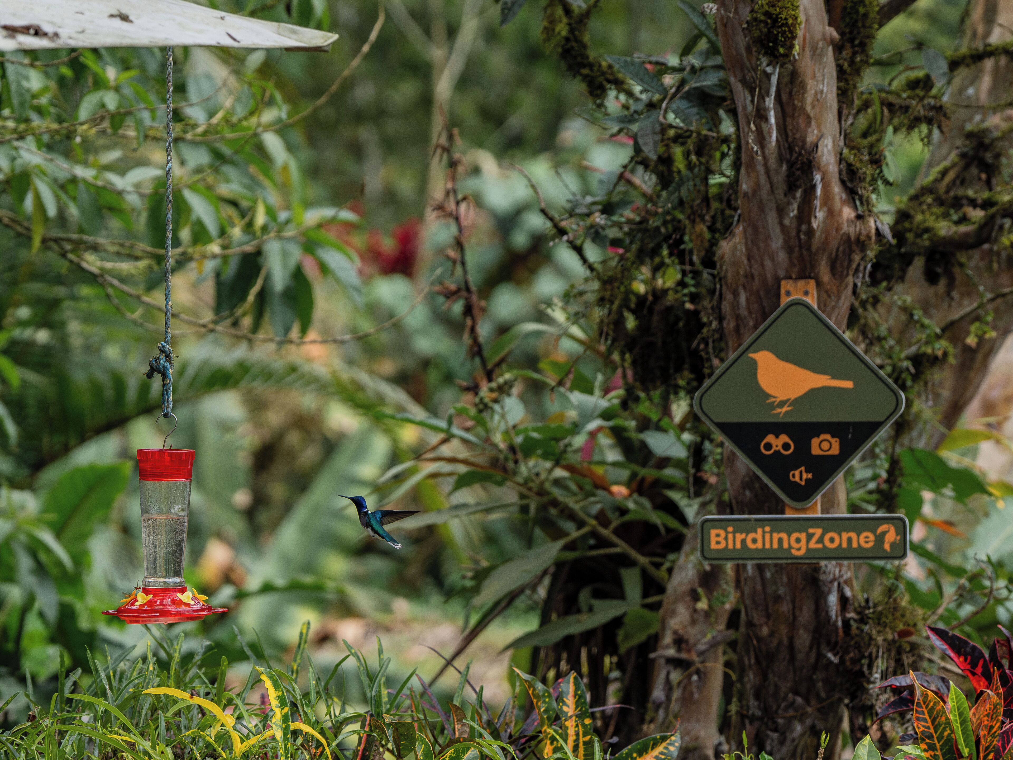 A bird feeder, a bird, and a sign indicating a birding zone.