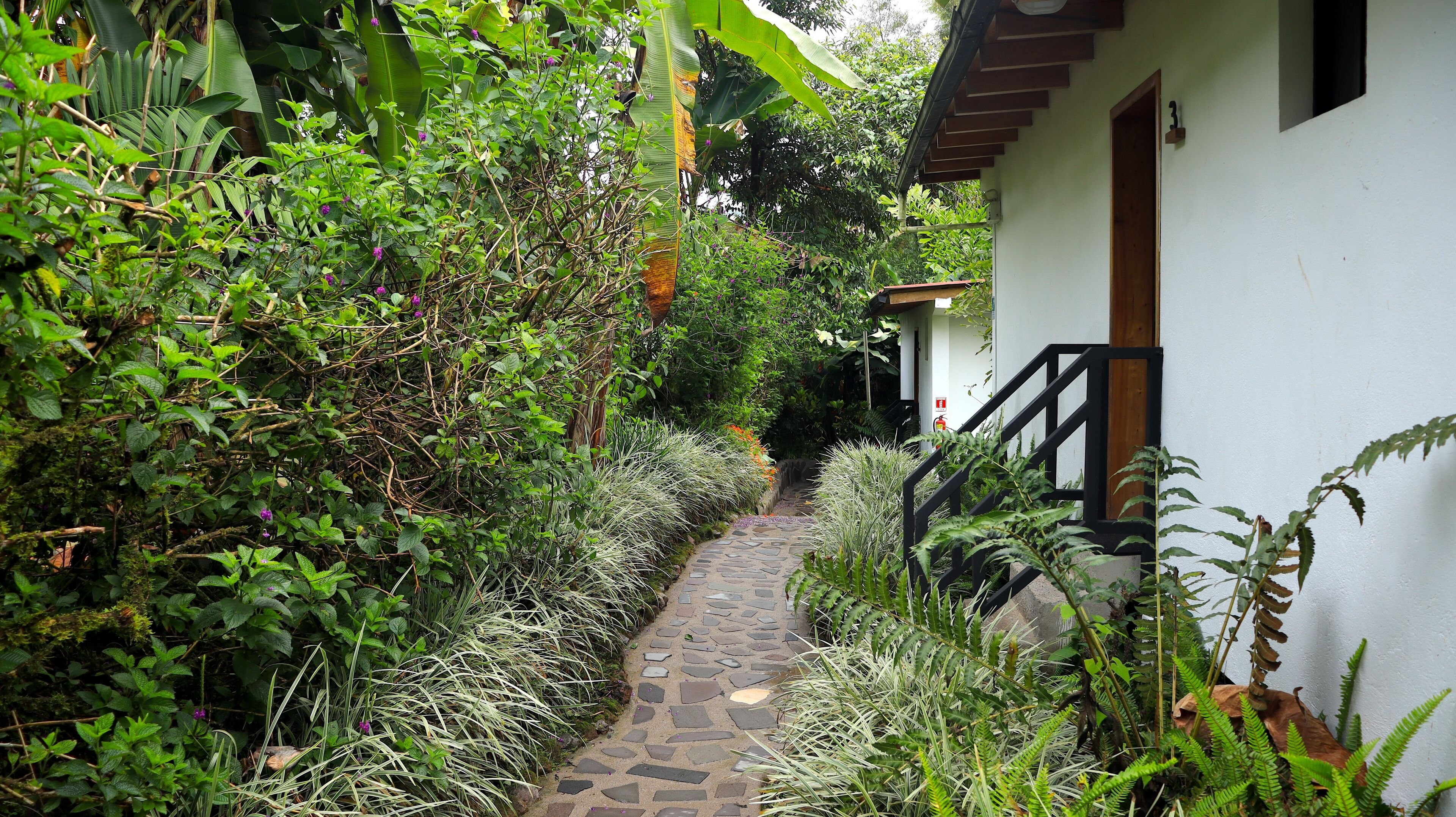 A narrow stone pathway leading to a white building with a wooden staircase.