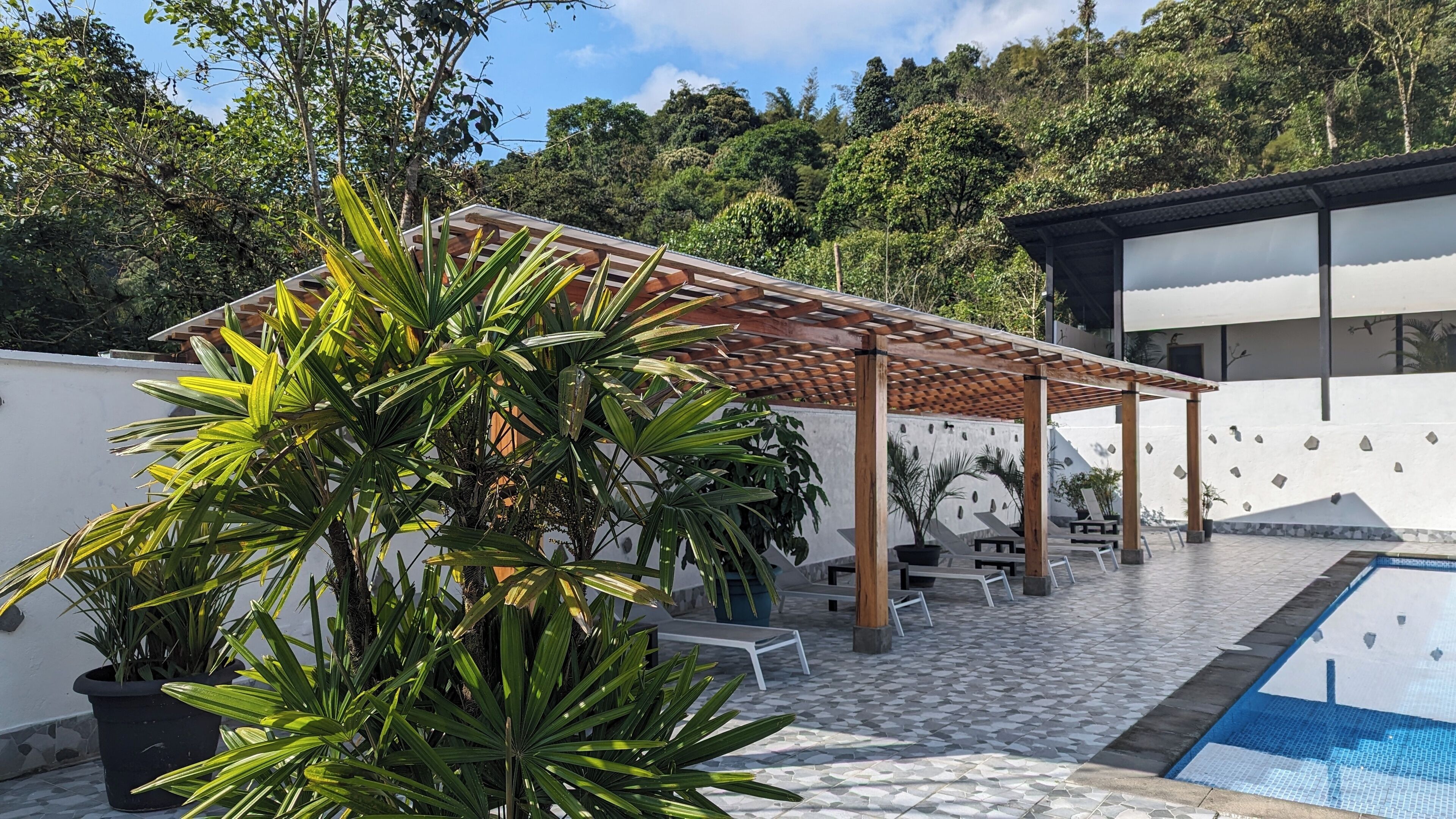 Un área de piscina moderna al aire libre con una pérgola, sillas de descanso y vistas a una ladera boscosa.