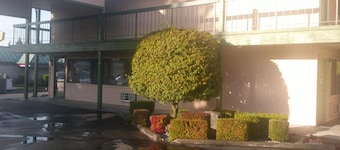 Sunrise Inn