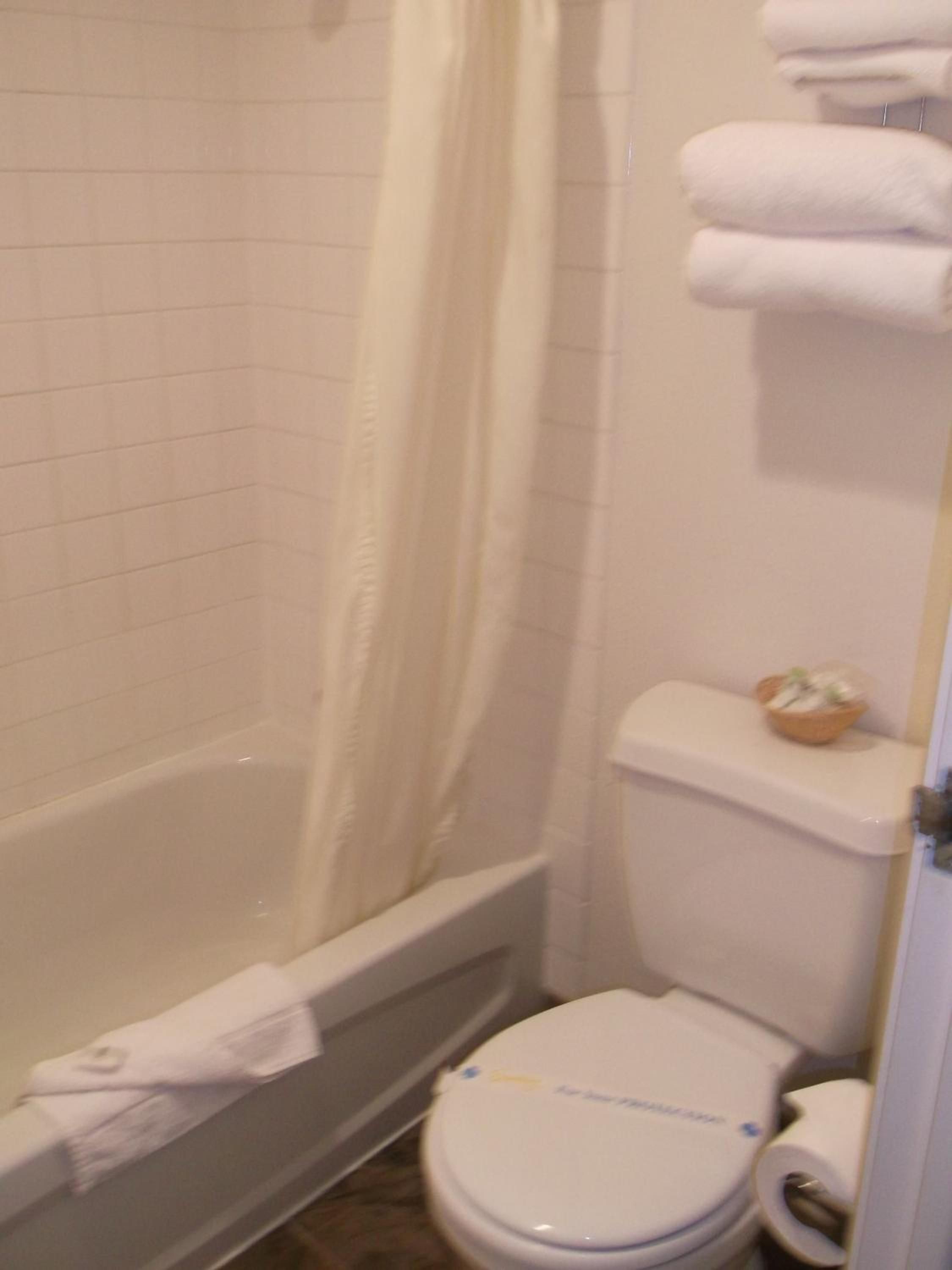 Un baño con bañera, inodoro y cortina de ducha.