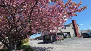 A building with a covered entrance, a parking lot, and a tree with pink blossoms. - Hyannis Host Inn (Hyannis)