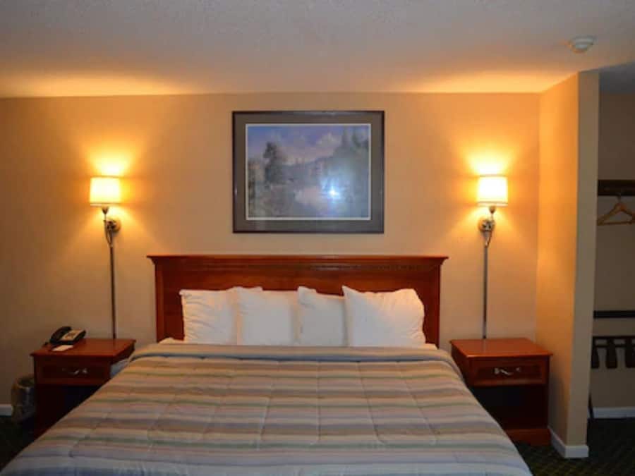 Room, 1 King Bed | Desk, iron/ironing board, free cots/infant beds, rollaway beds