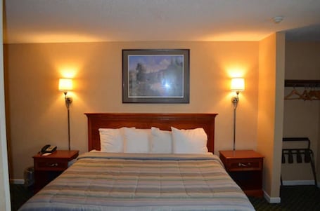 Room, 1 King Bed | Desk, iron/ironing board, free cribs/infant beds, rollaway beds