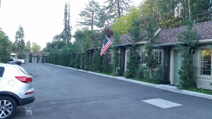 A street lined with single-story houses, each with a small porch and a flag.