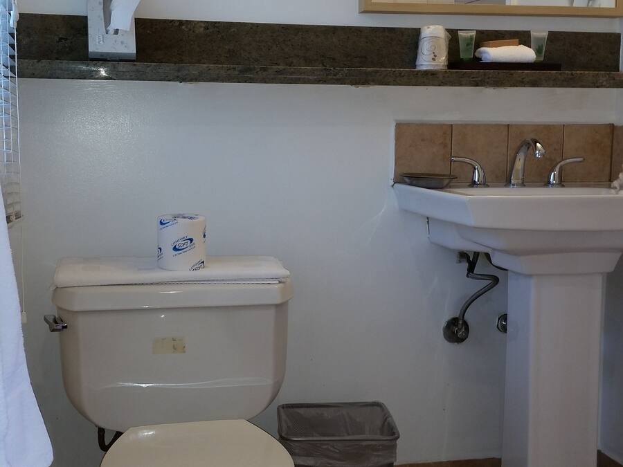 A bathroom with a toilet, a trash bin, a sink, and a mirror.
