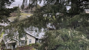 A house with a porch, surrounded by dense trees and a body of water in the background. - Landmark Inn (Florence)