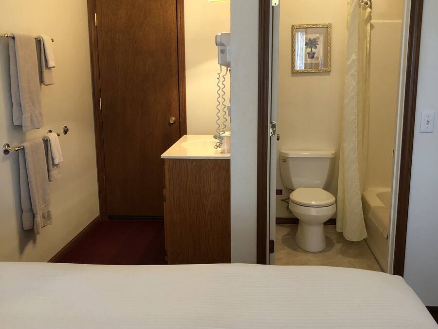 Un baño con inodoro, lavabo y cortina de ducha.