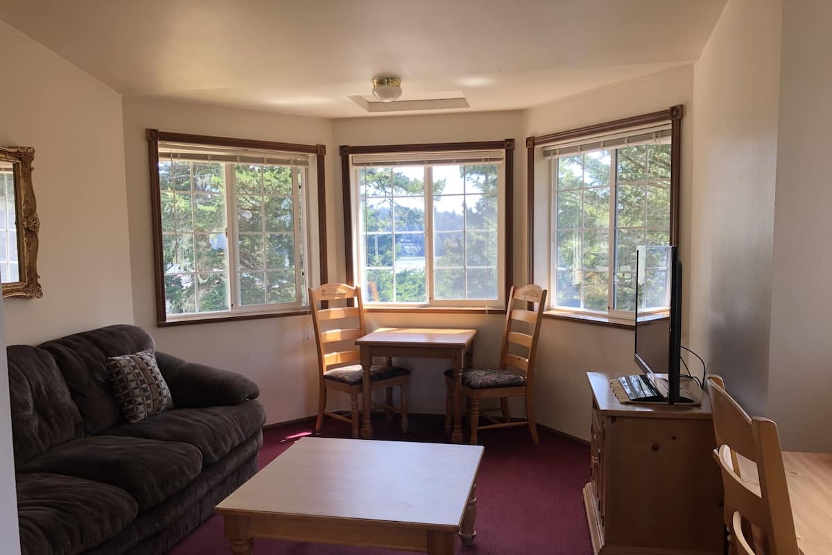 A cozy room with a dark brown sofa, a wooden table, and two chairs. There are large windows with curtains, a ceiling light, and a small cabinet.