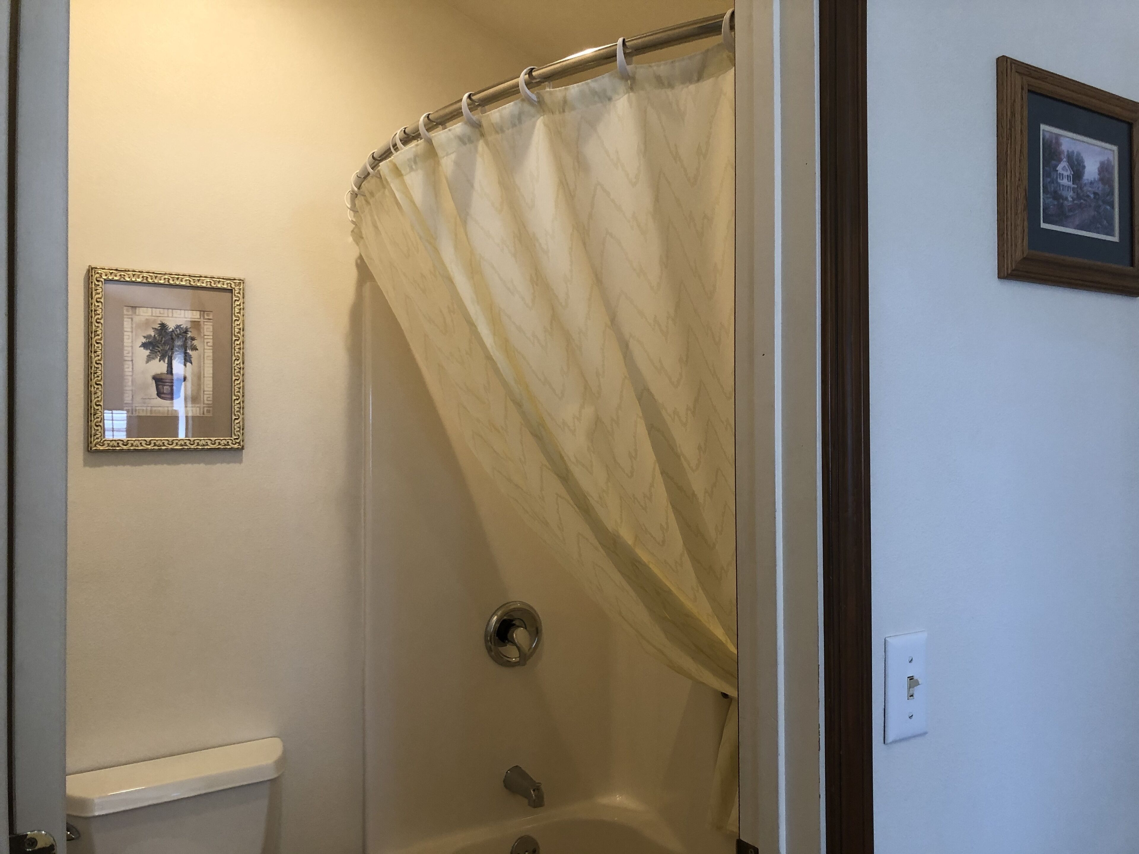 A bathroom with a shower curtain, a toilet, and a framed picture on the wall.