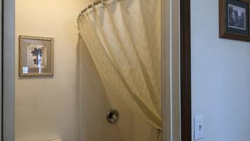 A bathroom with a shower curtain, a toilet, and a framed picture on the wall.