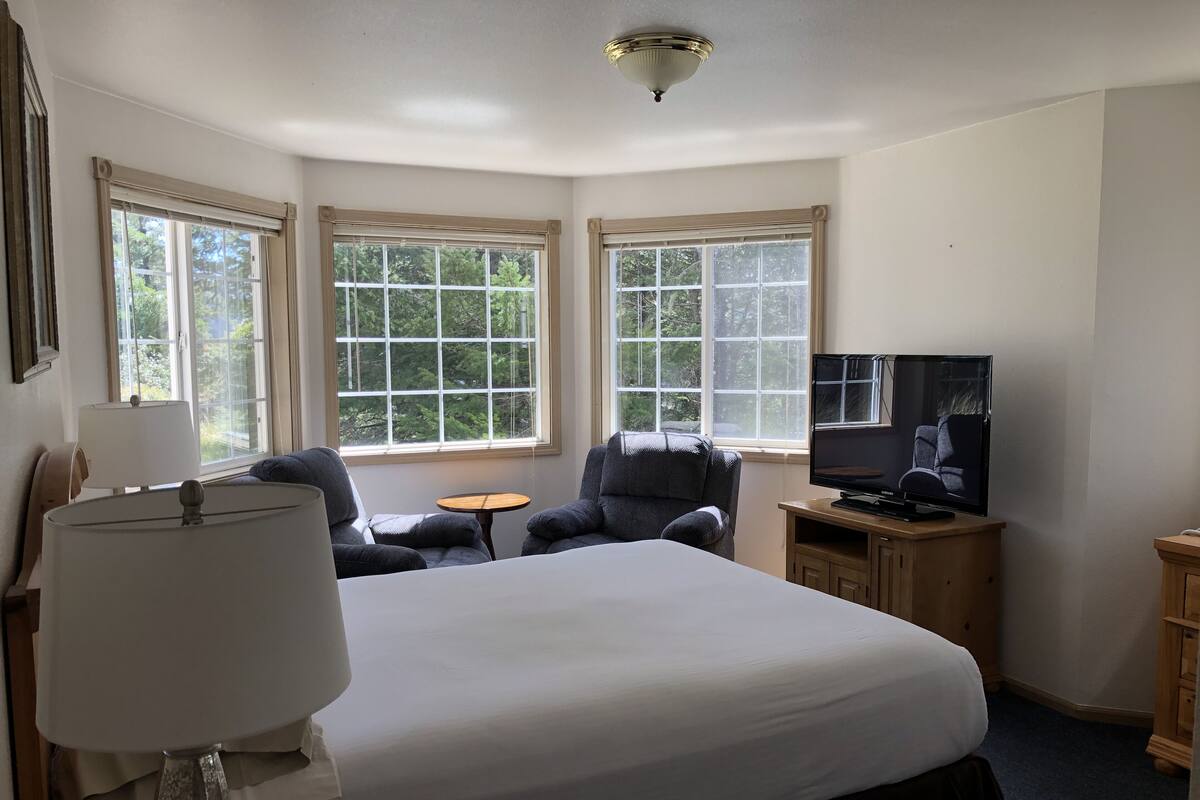 A hotel room with a large bed, two armchairs, a small table, a TV on a wooden stand, and large windows with a view of trees.