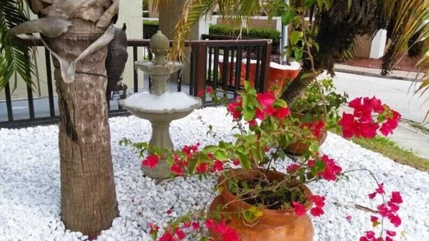 A garden with a palm tree, a fountain, and potted plants with pink flowers. - Merida Inn and Suites (St. Augustine)
