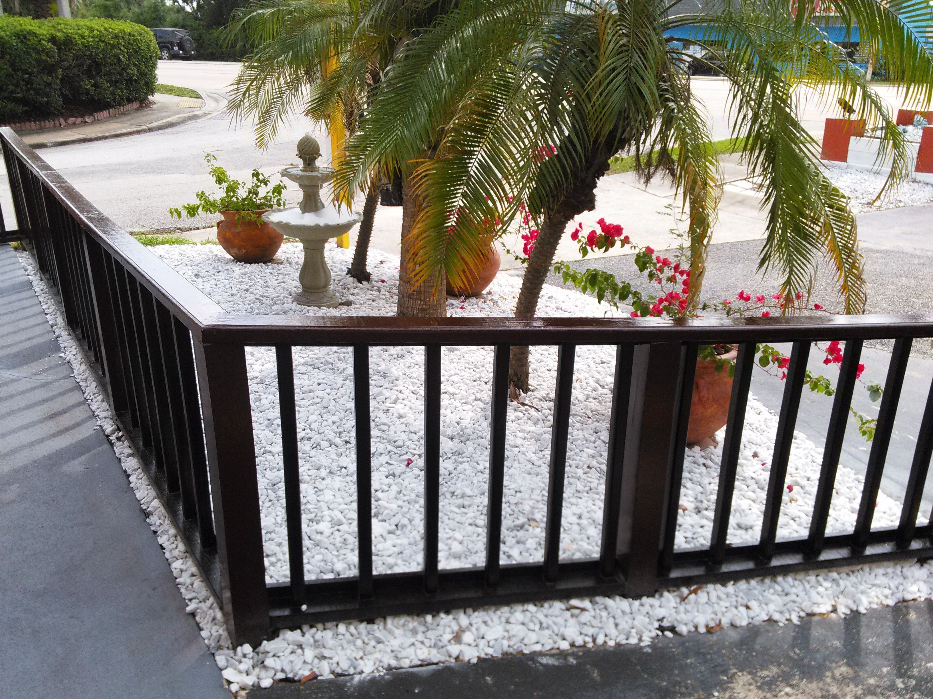 Una zona giardino con fontana, palme e piante in vaso.