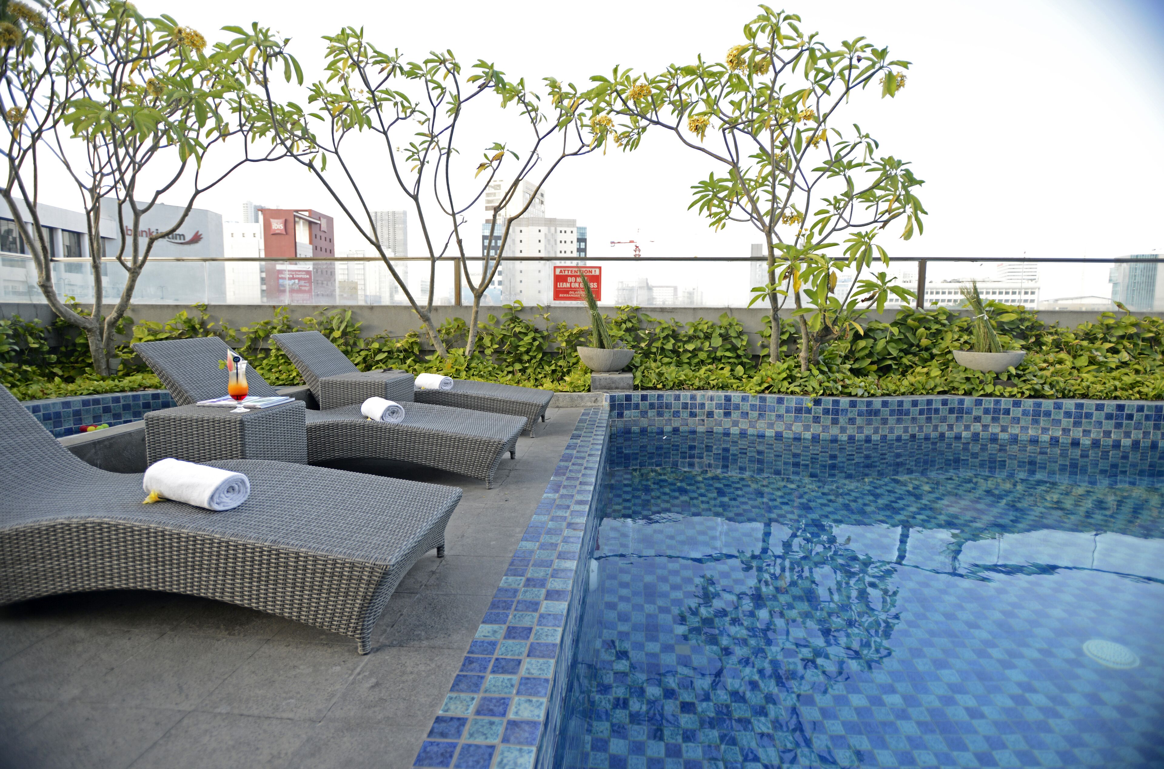 A rooftop pool area with lounge chairs, a small pool, and potted plants.