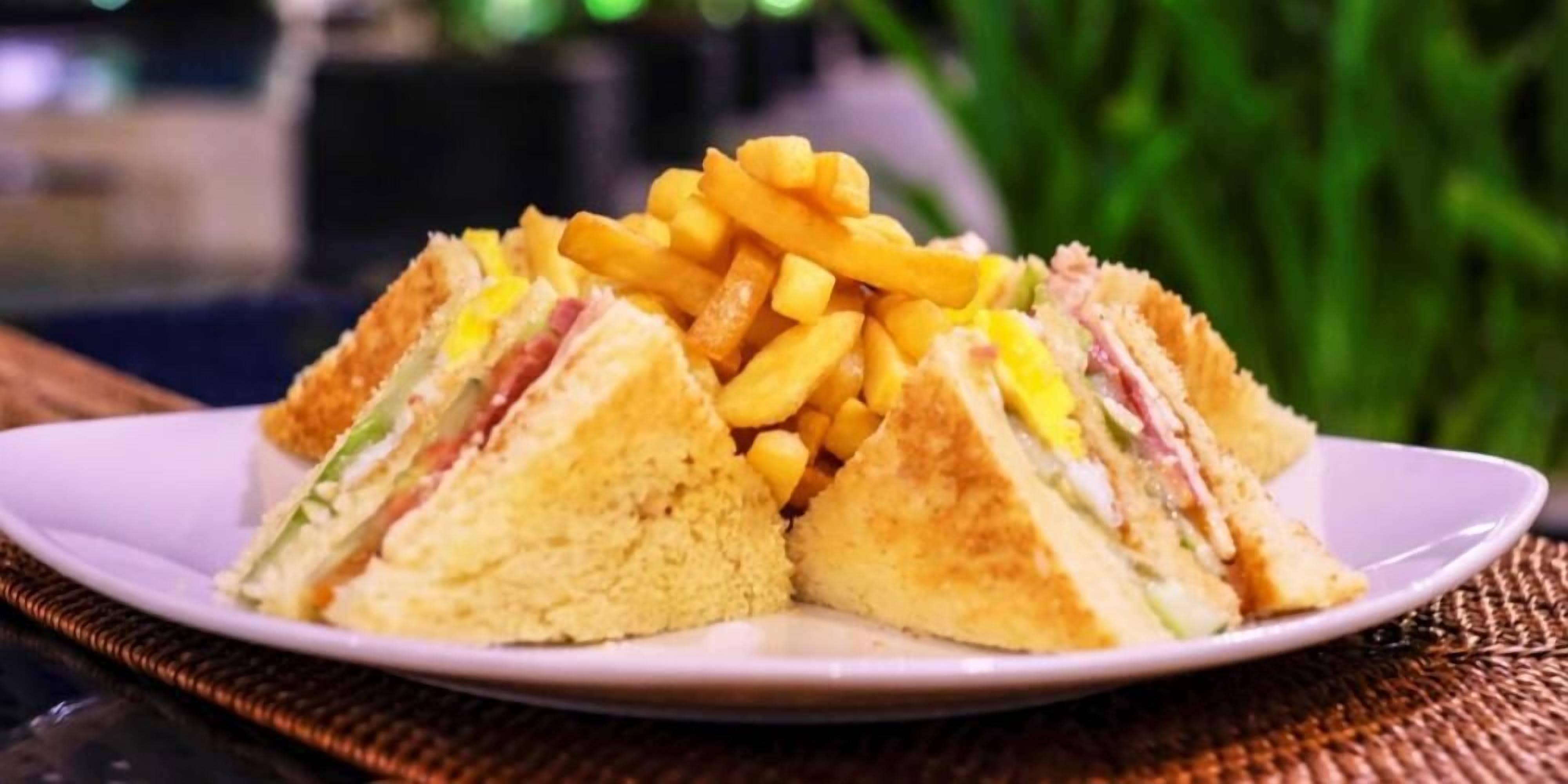 A plate with a sandwich and fries.