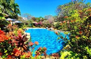 3 室外游泳池,09:00 至 22:00 开放,池畔遮阳伞,日光浴躺椅