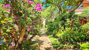 Vista del jardí