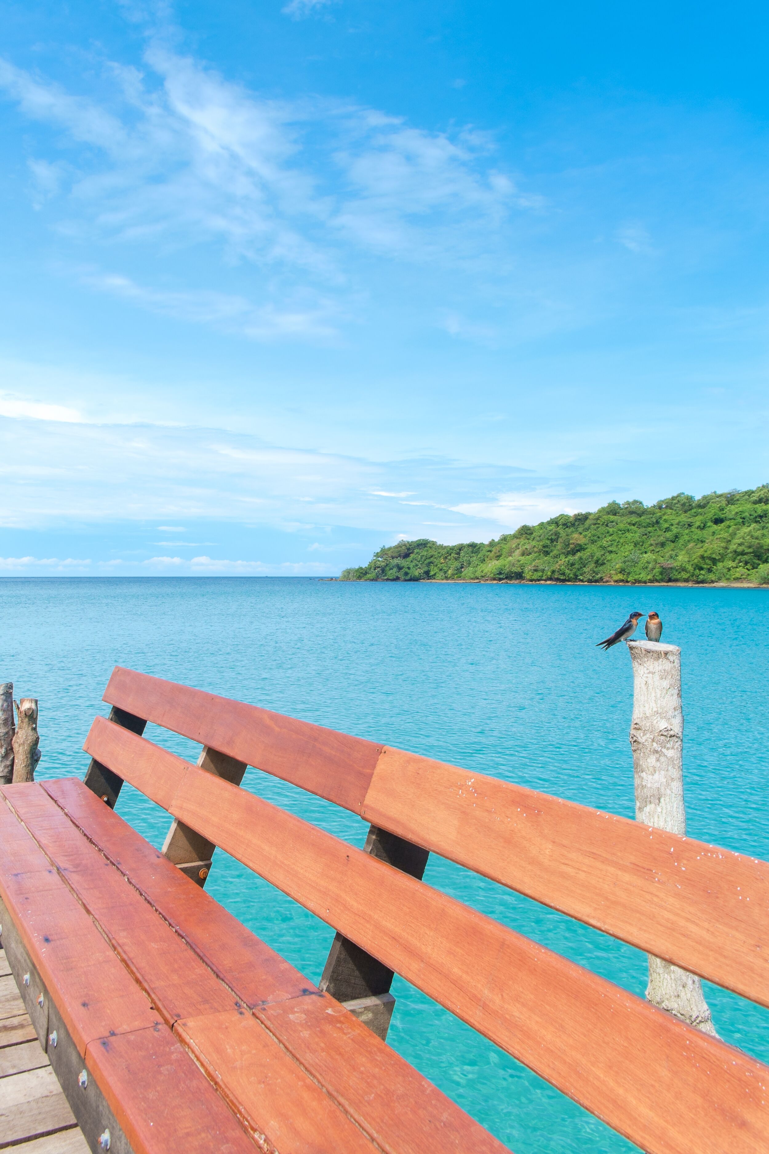 Eine hölzerne Bank am ruhigen Meer, mit blauem Himmel und einem grünen Hügel im Hintergrund.