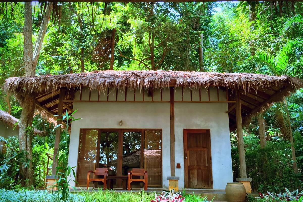 Una cabaña rústica con techo de paja, puerta y ventanas de madera, rodeada de abundante vegetación.