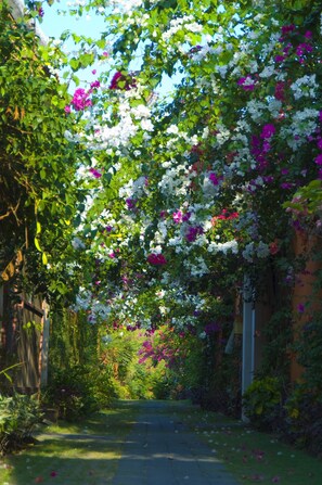 Entrada (vista interna)