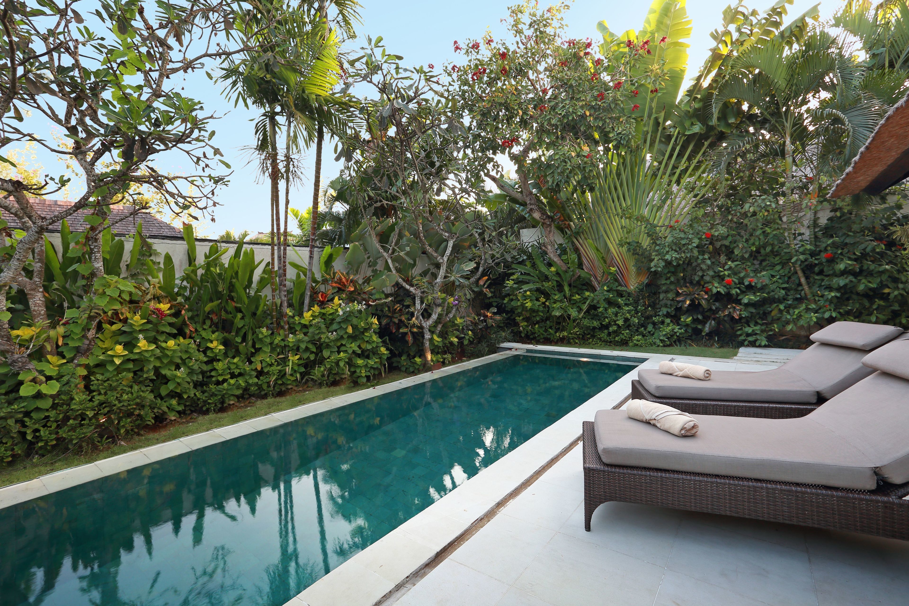 A swimming pool with lounge chairs and tropical plants.