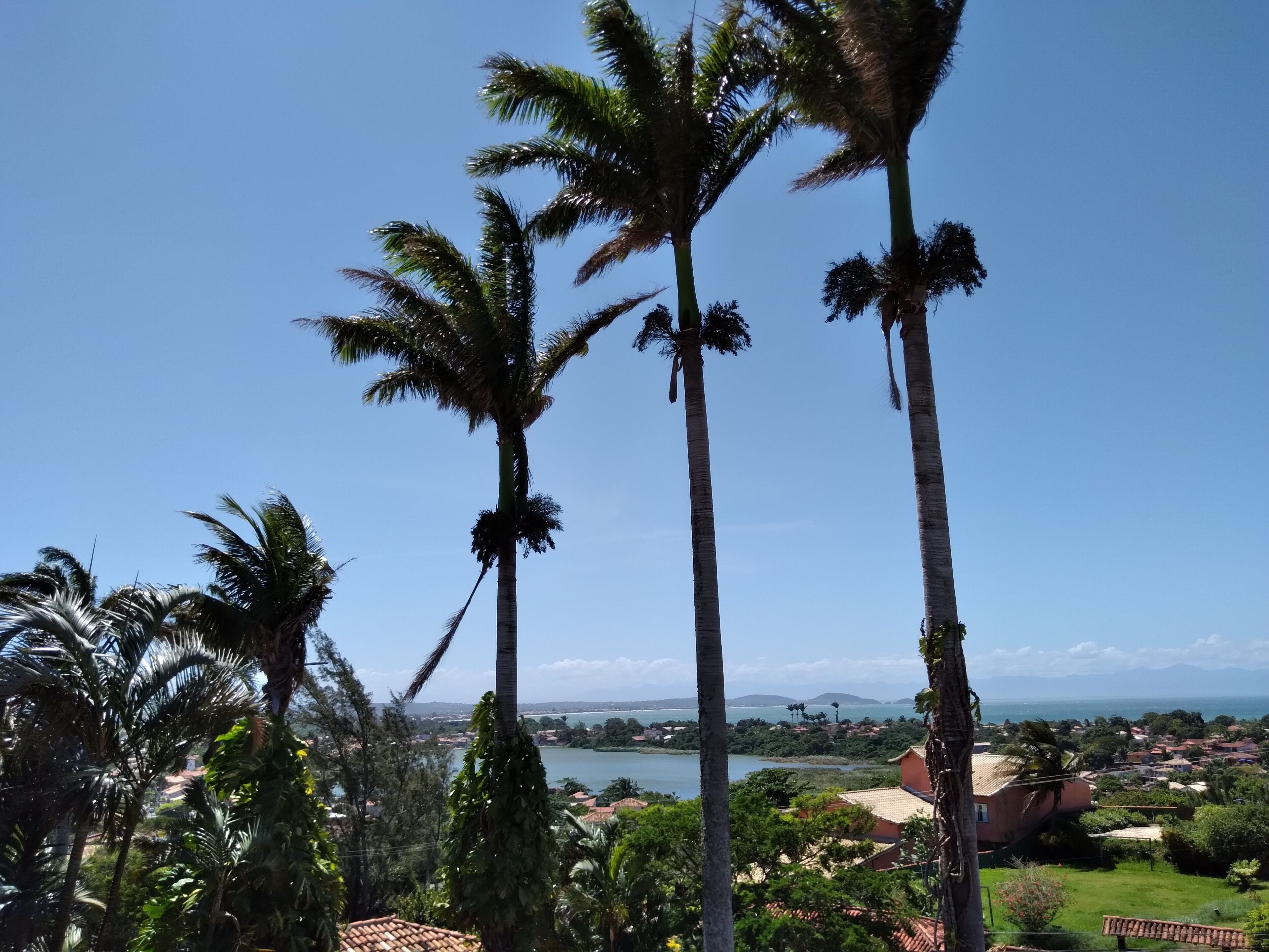 Foto - Hotel Pousada Casacolina