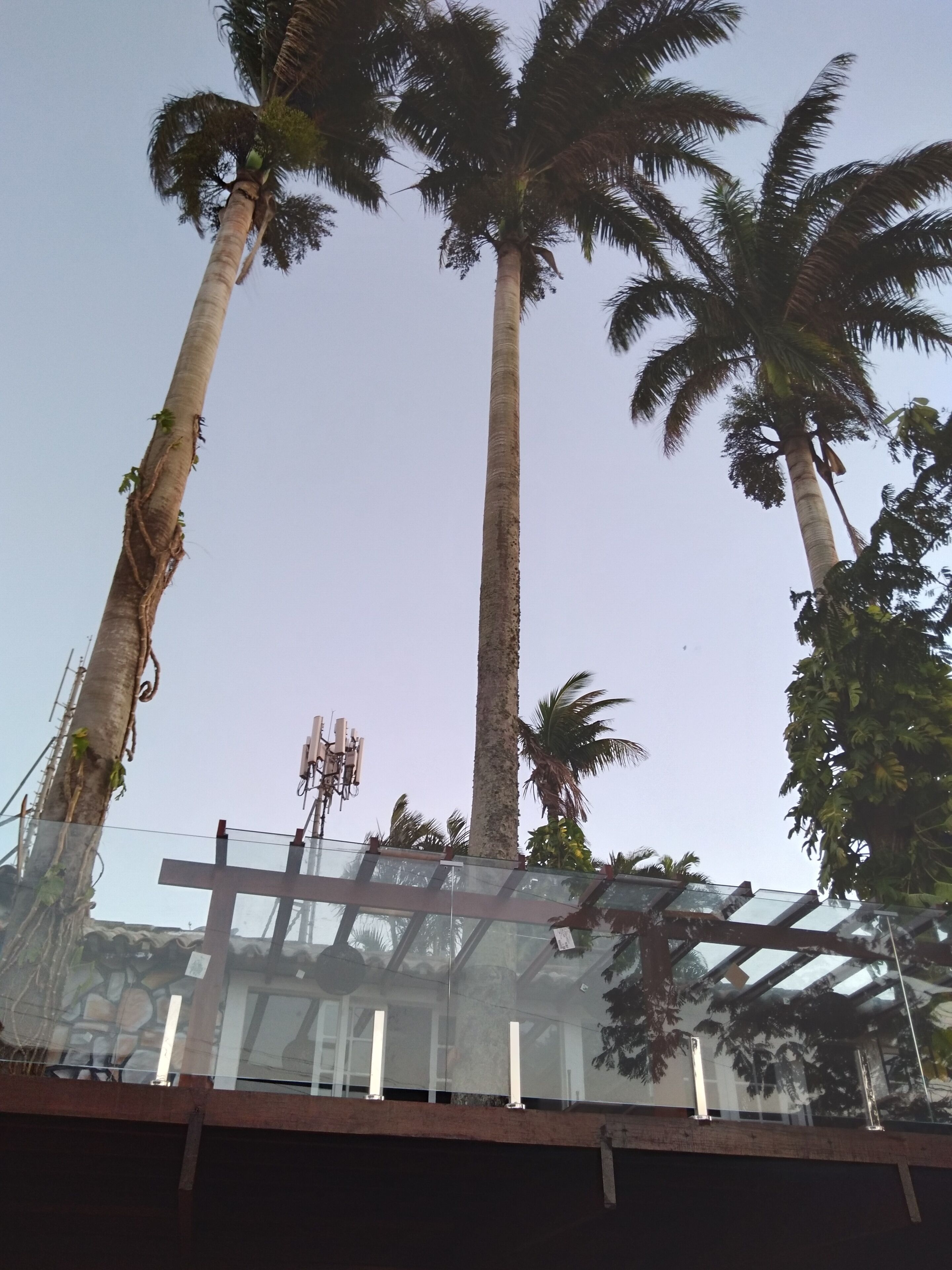 Photo - Hotel Pousada Casacolina