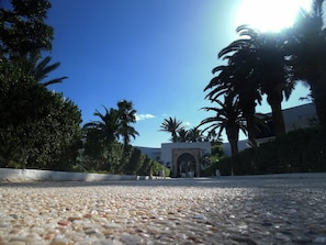 A paved pathway leading to a building with an arched entrance, surrounded by palm trees and greenery.