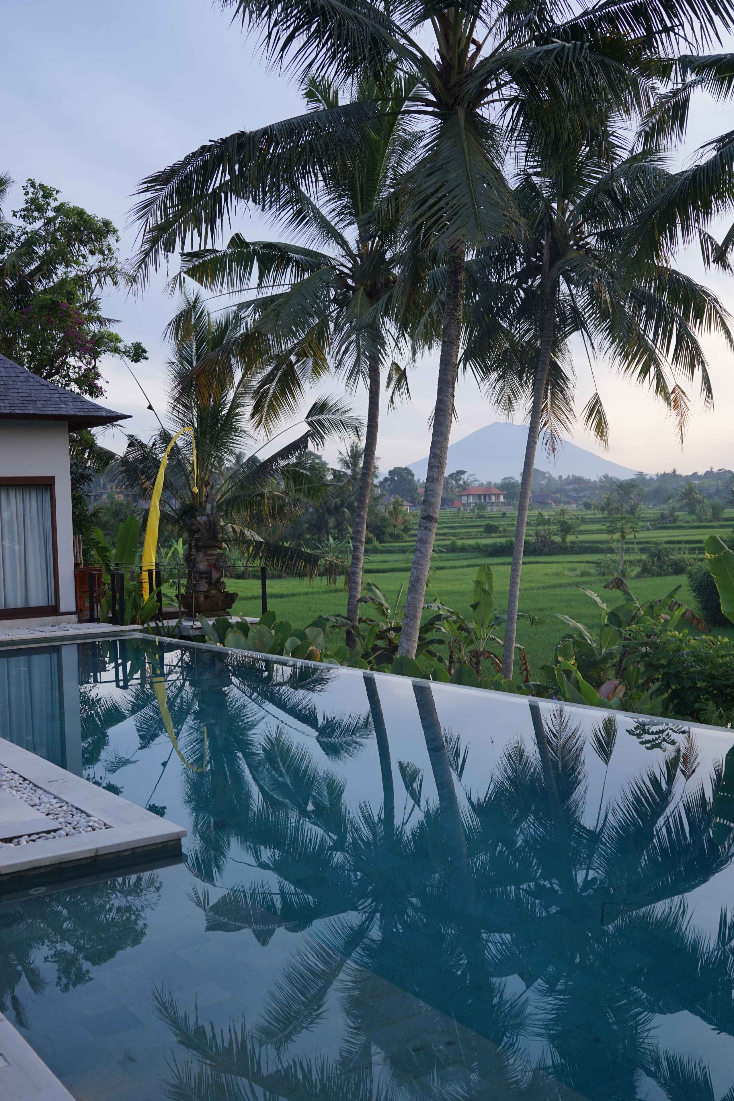 A swimming pool with a view of a mountain and palm trees.