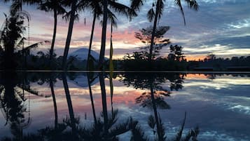 Kolam renang terbuka