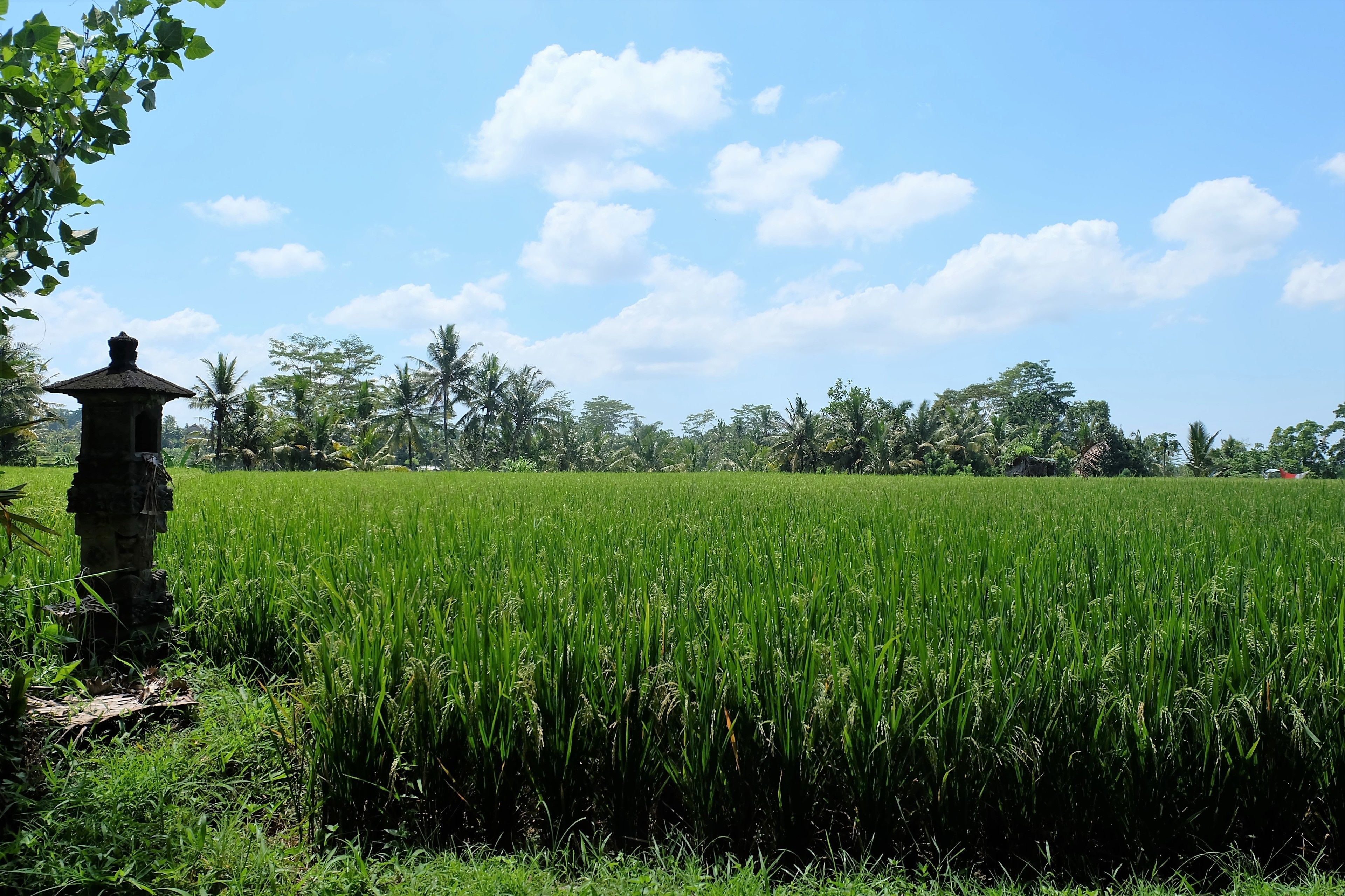 Pemandangan dari properti
