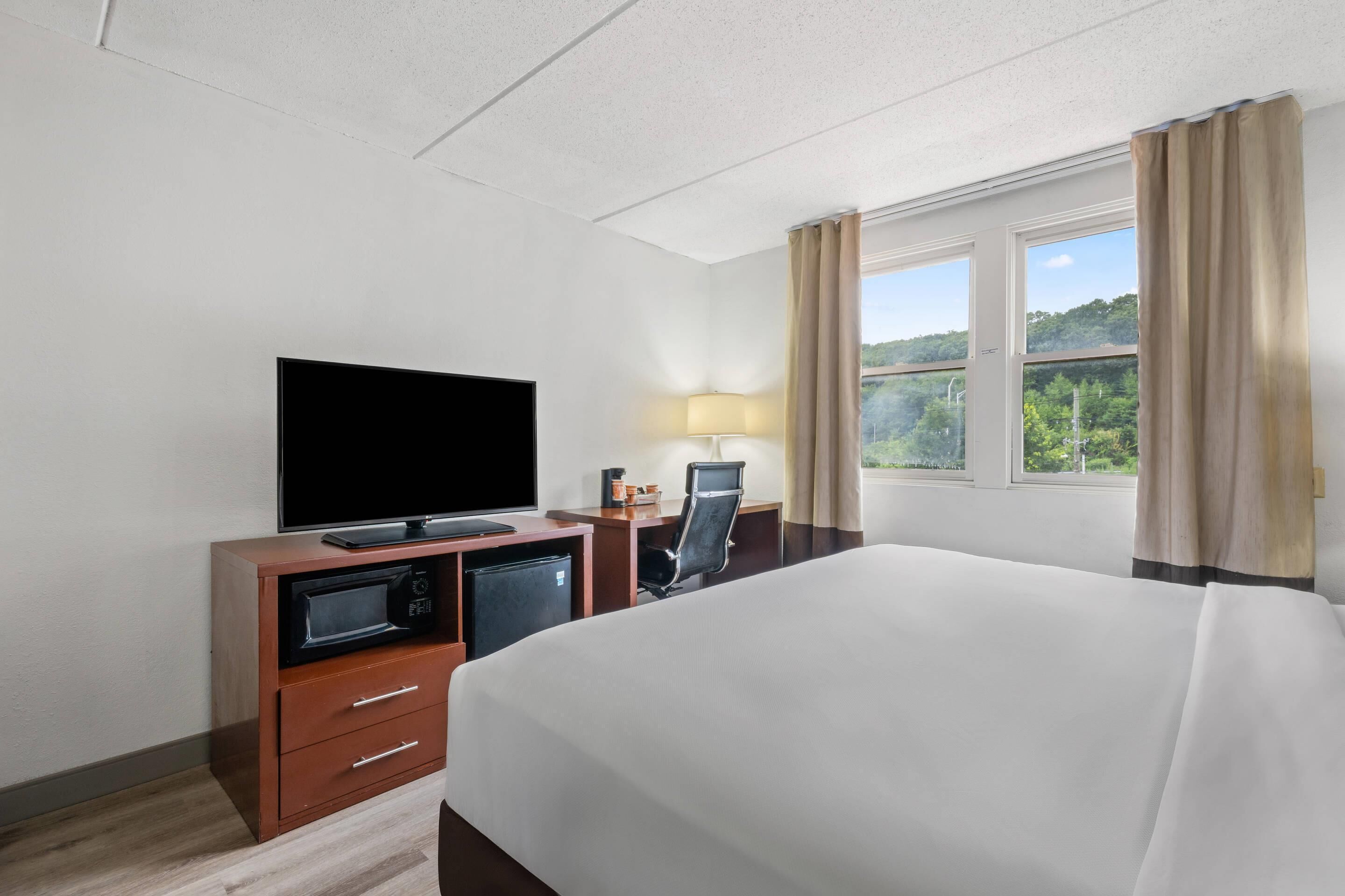 Hotelkamer met een bed, een televisie, een bureau met lamp en uitzicht op groen.