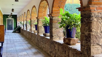 Vista desde la habitación