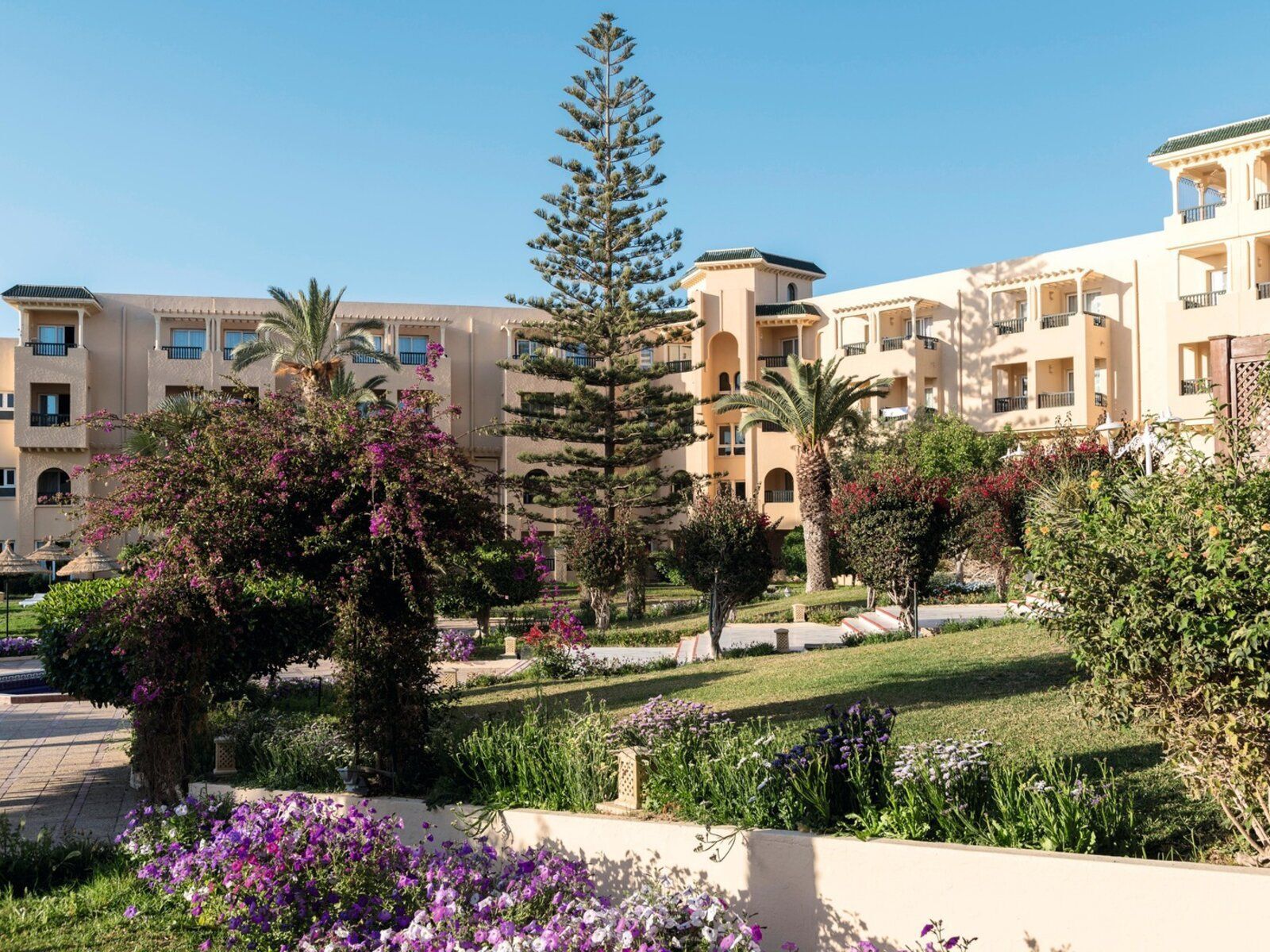 Foto - TUI SUNEO Royal Kenz - All Inclusive