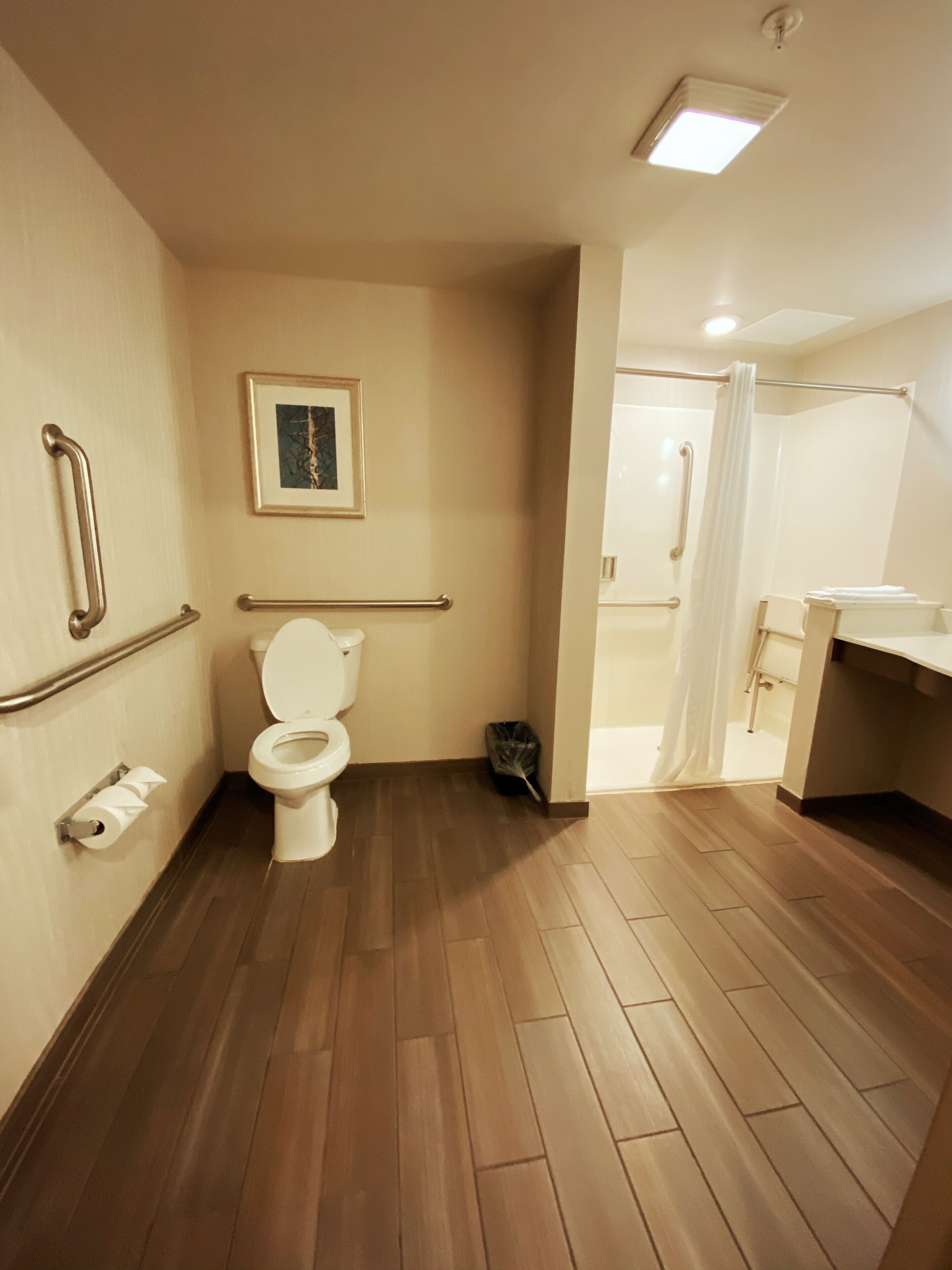 Une salle de bain équipée de toilettes, d’une barre d’appui, d’un tableau au mur et d’un espace douche.