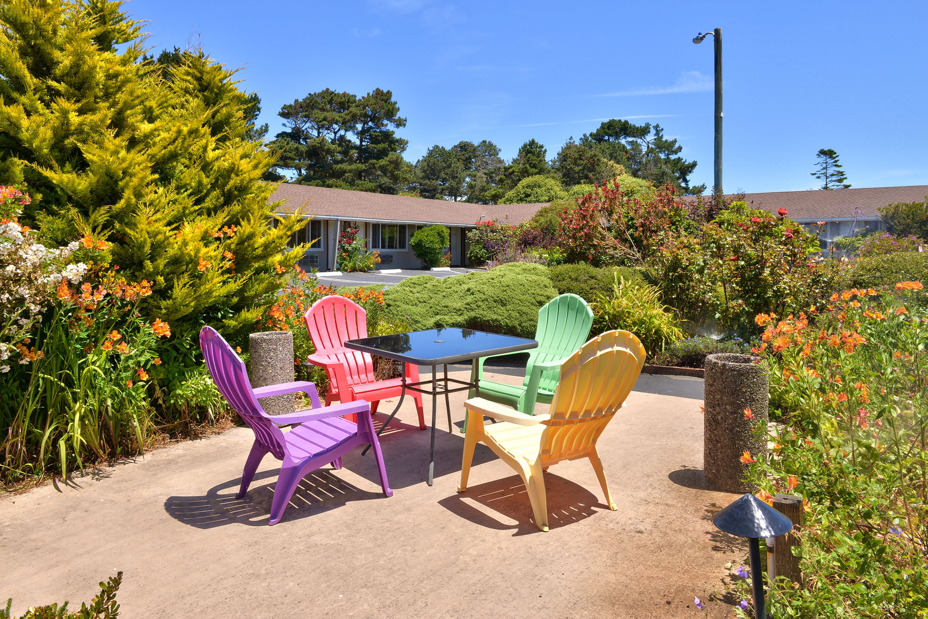 Une terrasse avec des chaises en plastique de couleurs vives et une table, entourée d’une végétation luxuriante et de plantes en fleurs.
