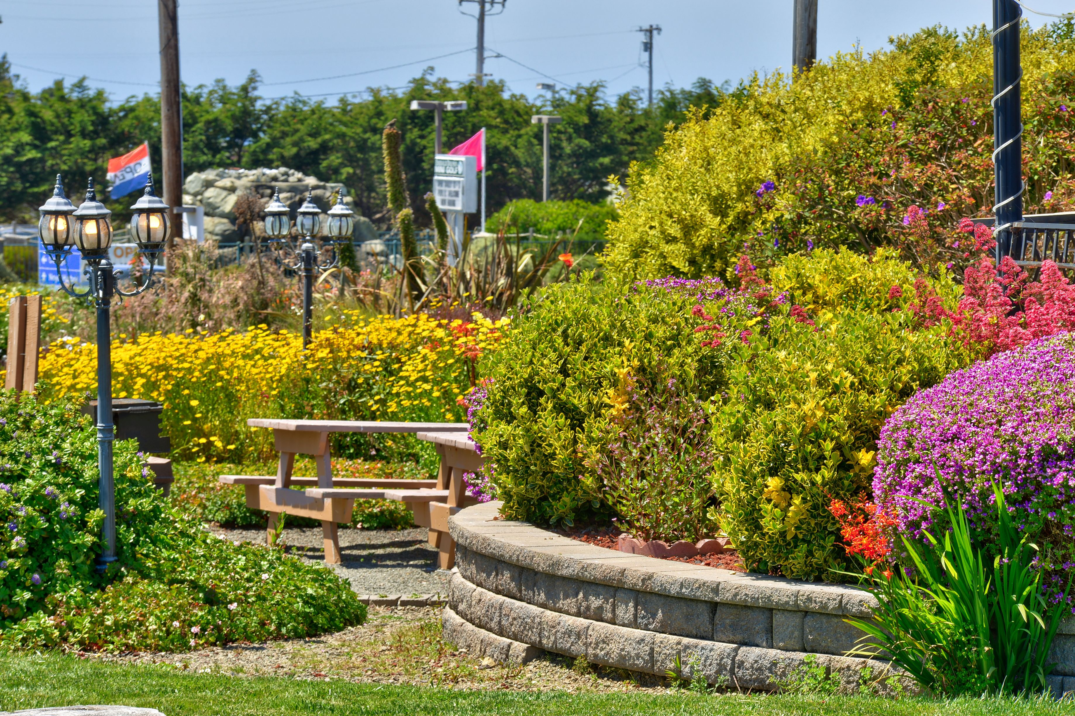 A garden with a picnic table and lamp posts.