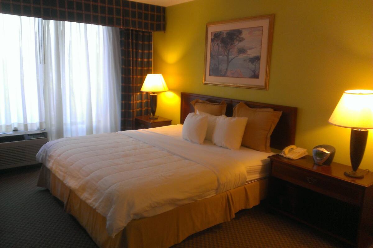 Standard Room, 1 King Bed, Non Smoking | 1 bedroom, premium bedding, pillowtop beds, desk