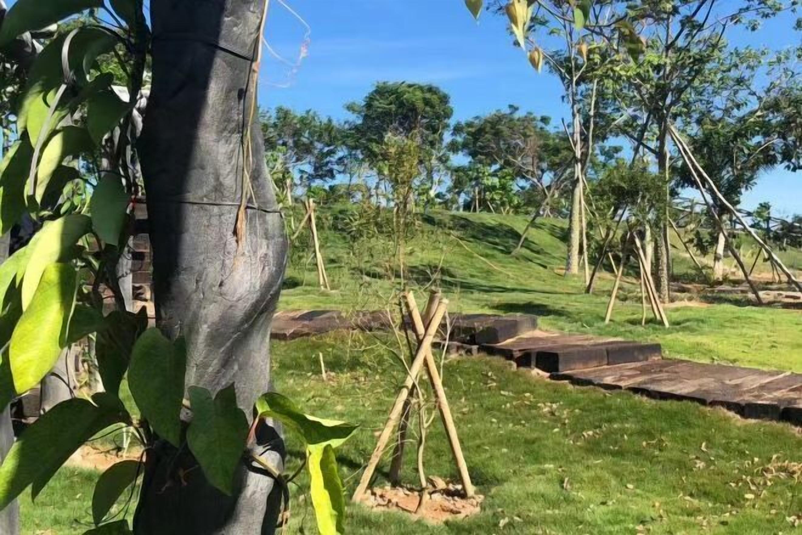 المنطقة المحيطة بالمنشأة