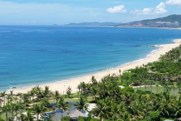 A beach view with a clear sky, a sandy shore, and a pool area surrounded by palm trees.