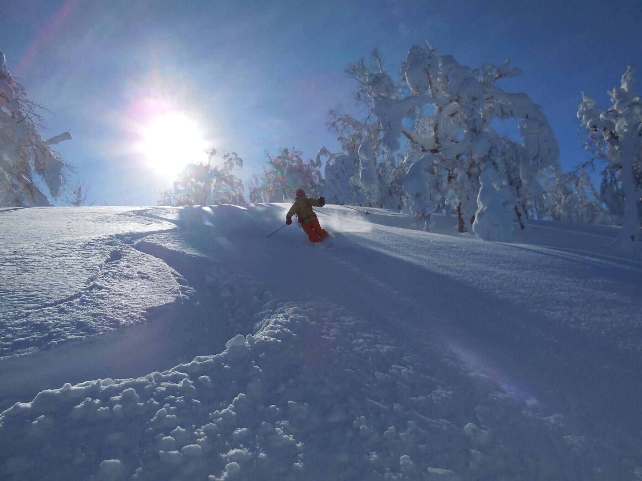 A person skiing down a snowy slope with trees on either side.