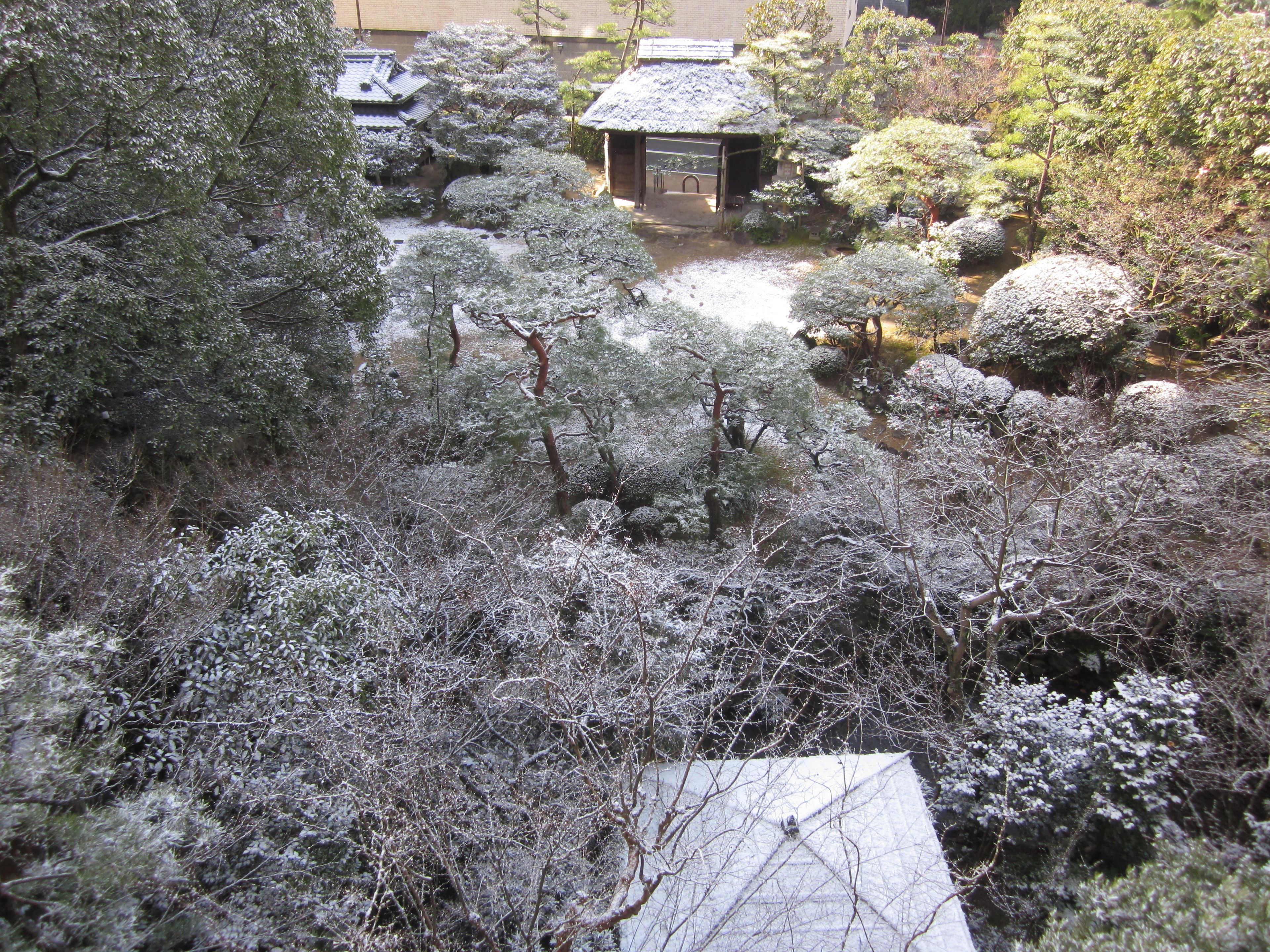 Een traditionele Japanse tuin met een rieten paviljoen, omringd door met sneeuw bedekte bomen en een kleine vijver.